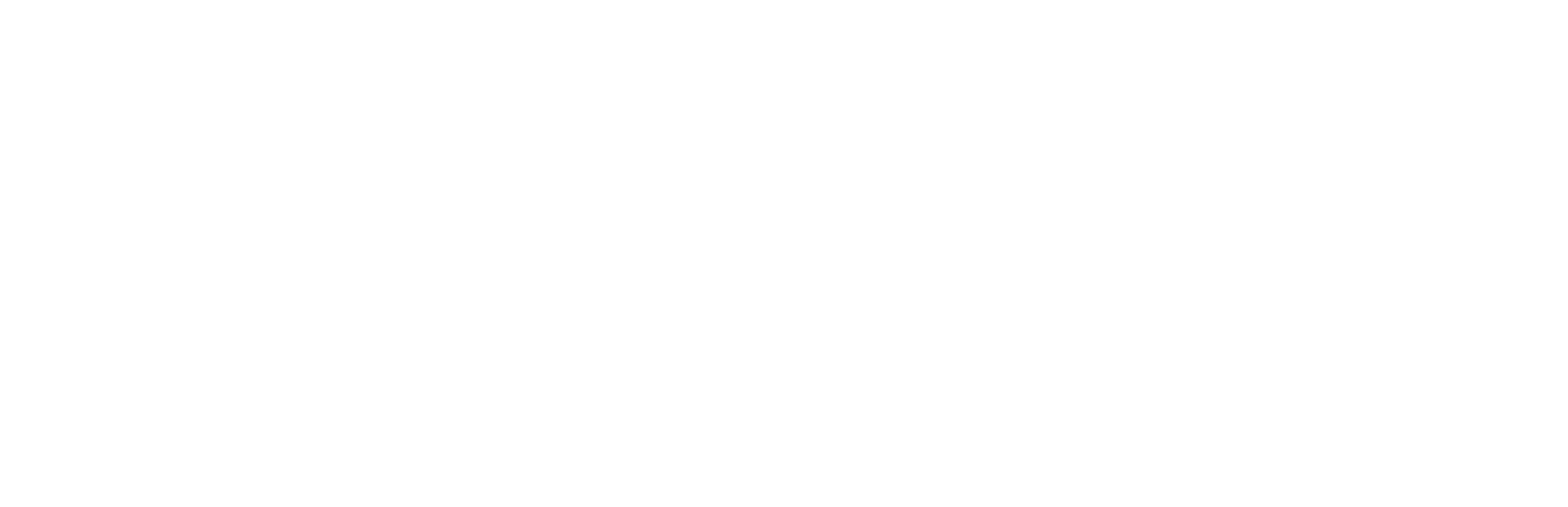 The RE/MAX Commercial white logo